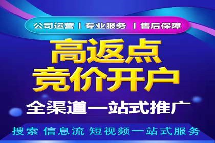关键词竞价排名策略：成功企业的案例分析